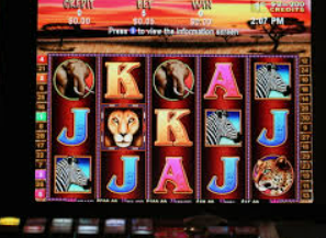 云开足球平台2024最新版