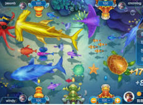 云开足球平台免费版